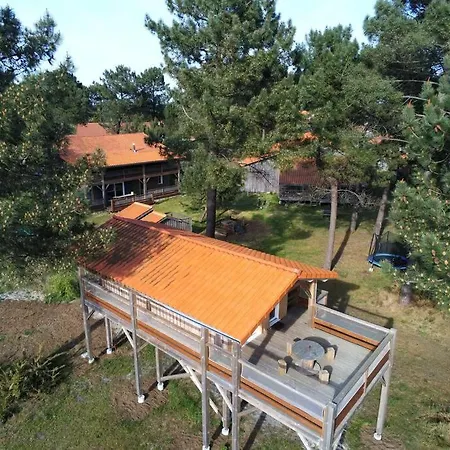 Chalet La Maison De L'aerogrange Biscarrosse
